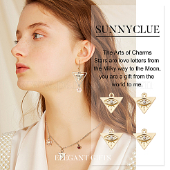 Alloy Charms&nbsp;FIND-SC0002-55