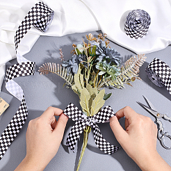 Polyester Ribbon&nbsp;OCOR-WH0109-113