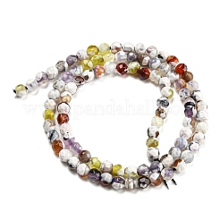 Dyed Natural Fire Crackle Agate Beads Strands&nbsp;G-G007-01D