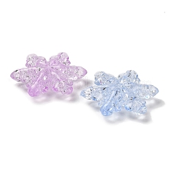 Transparent Acrylic Beads&nbsp;TACR-R001-05A
