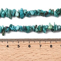 Natural HuBei Turquoise Bead Strands&nbsp;G-H345-A01-01