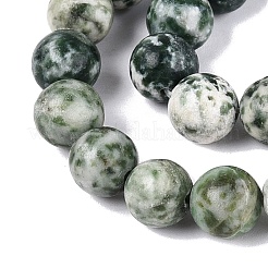 Natural Green Spot Jasper Beads Strands&nbsp;G-Q601-13A-07