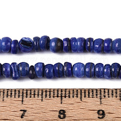 Natural Freshwater Shell Dyed Beads Strands&nbsp;SHEL-T020-29A-10