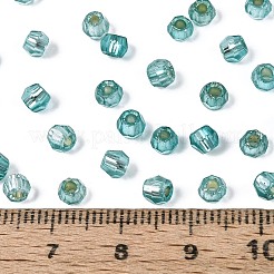 Silver Lined Glass Seed Beads&nbsp;SEED-T007-18A-07