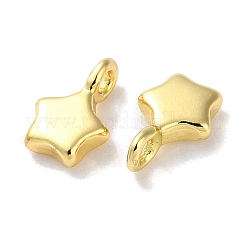 Rack Plating Brass Pendants&nbsp;KK-Z039-31G