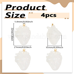 4Pcs Resin Pendants&nbsp;RESI-LP0001-62