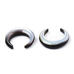 Natural Black Lip Shell Beads&nbsp;SSHEL-N034-122A-02