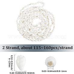 2 Strands Natural Trumpet Shell Beads Strands&nbsp;SHEL-LT0001-01
