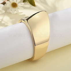 Alloy Hinged Bangles for Women&nbsp;BJEW-D312-05G