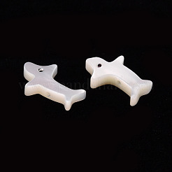 Natural Trochid Shell/Trochus Shell Beads&nbsp;SSHEL-T014-30