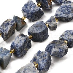 Raw Rough Natural Blue Spot Jasper Beads Strands&nbsp;G-Z087-B01