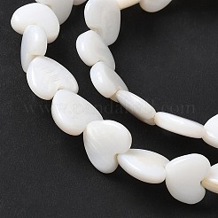 Natural Freshwater Shell Beads Strands&nbsp;SSHEL-C013-05