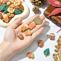 60Pcs 10 Styles Autumn Theme Resin Cabochons&nbsp;RESI-SC0006-37