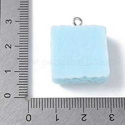 Opaque Resin Pendants&nbsp;RESI-Z033-02P-A