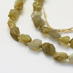 Natural Labradorite Beads Strands&nbsp;G-K202-11C