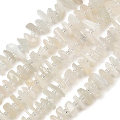 Natural White Moonstone Beads Strands&nbsp;GG-CBA3A44-B03-01