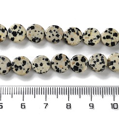 Natural Dalmatian Jasper Beads Strands&nbsp;G-B138-B02-01