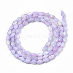 Natural Freshwater Shell Beads Strands&nbsp;SHEL-N003-25-B04