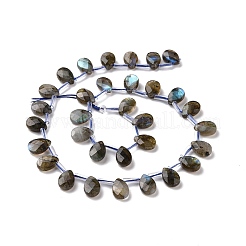 Natural Labradorite Beads Strands&nbsp;G-I246-09-A