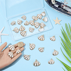 30Pcs Electroplated Natural Shell Pendants&nbsp;SSHEL-SC0001-60