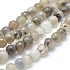 Natural Dendritic Agate Beads Strands&nbsp;X-G-D845-04-8mm