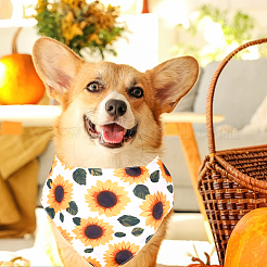 2Pcs 2 Styles Polyester Dog Bandana&nbsp;AJEW-WH0456-004