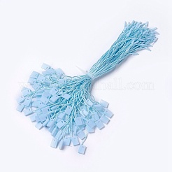 Polyester Cord with Seal Tag&nbsp;CDIS-T001-09-M