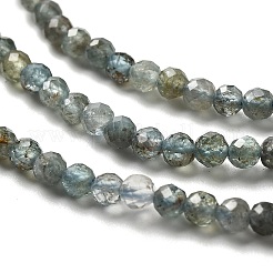 Natural Apatite Beads Strands&nbsp;G-RM2025-A23-3mm