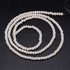 Faceted Rondelle Glass Beads Strands&nbsp;X-GLAA-M028-2mm-B02