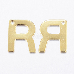 304 Stainless Steel Charms&nbsp;LS-X-STAS-P141-R