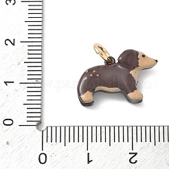 Spray Paint 304 Stainless Steel Pendants&nbsp;STAS-H254-04G-07