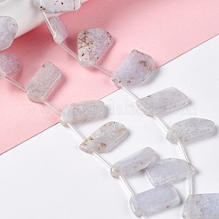 Natural Blue Lace Agate Beads Strands&nbsp;G-I329-01