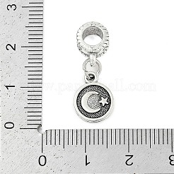 Rack Plating Brass European Dangle Charms&nbsp;LS-KK-R200-14AS