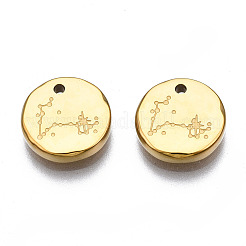 316 Surgical Stainless Steel Charms&nbsp;LS-STAS-S116-418L-G