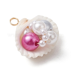 Natural Clam Shell Pendants&nbsp;PALLOY-JF03551