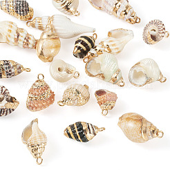 18Pcs 9 Styles Electroplated Natural Shell Pendants&nbsp;BSHE-TA0001-35