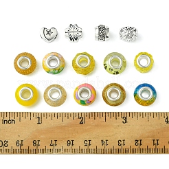 DIY Tibetan Style Alloy & Resin European Beads Making Finding Kits&nbsp;DIY-FS0006-78B