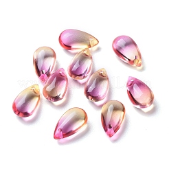 Transparent Glass Charms&nbsp;GLAA-O017-01