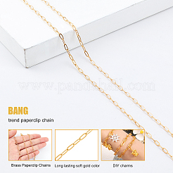 DIY Paperclip Chain Jewelry Making Kits&nbsp;DIY-SC0014-49G