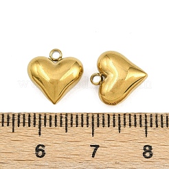 304 Stainless Steel Charms&nbsp;STAS-Z166-10G