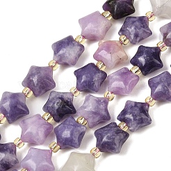 Natural Lepidolite Beads Strands&nbsp;G-Z080-A02-10mm