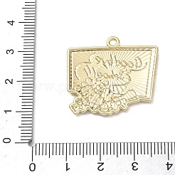Alloy with Enamel Pendants&nbsp;AL-CBAE84A-02C-01