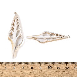 Electroplate Natural Shell Big Pendants&nbsp;SSHEL-N042-15