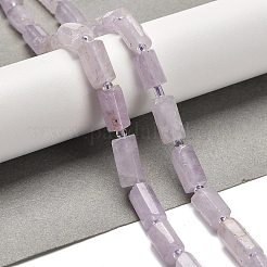 Natural Lavender Amethyst Beads Strands&nbsp;G-K245-I12-01
