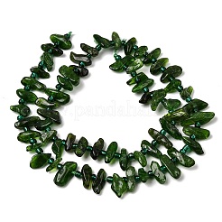 Natural Green Diopside Beads Strands&nbsp;G-L649-B01-01