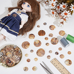 90Pcs 6 Styles Freshwater Shell Buttons&nbsp;SHEL-PH0001-62