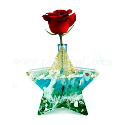 Star Display Holder Silicone Molds&nbsp;DIY-M045-09