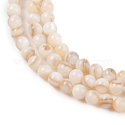 Natural Freshwater Shell Beads Strands&nbsp;X-SHEL-T011-02-3mm