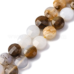 Natural Blue Chalcedony Beads Strands&nbsp;G-C179-A47-03