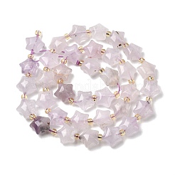 Natural Amethyst Beads Strands&nbsp;G-Z080-A29-10mm
